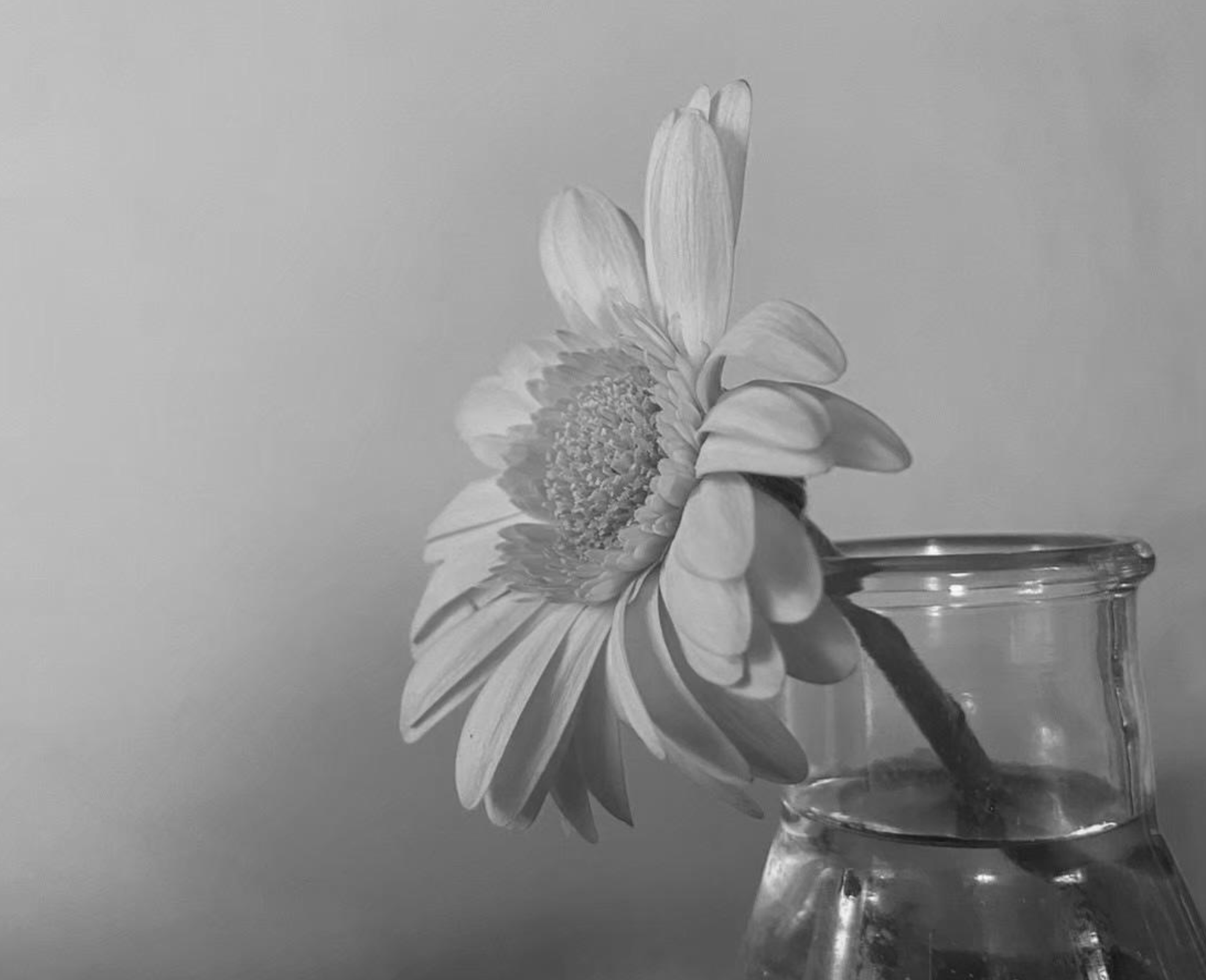 Champdelarose