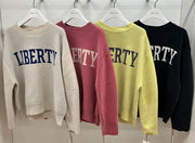 【Dignite collier】ベロアモールロゴニット