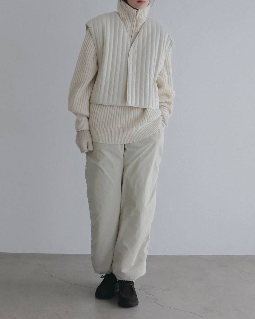 【anuke 2026 winter】Halfzip Rib Knit - Champdelarose