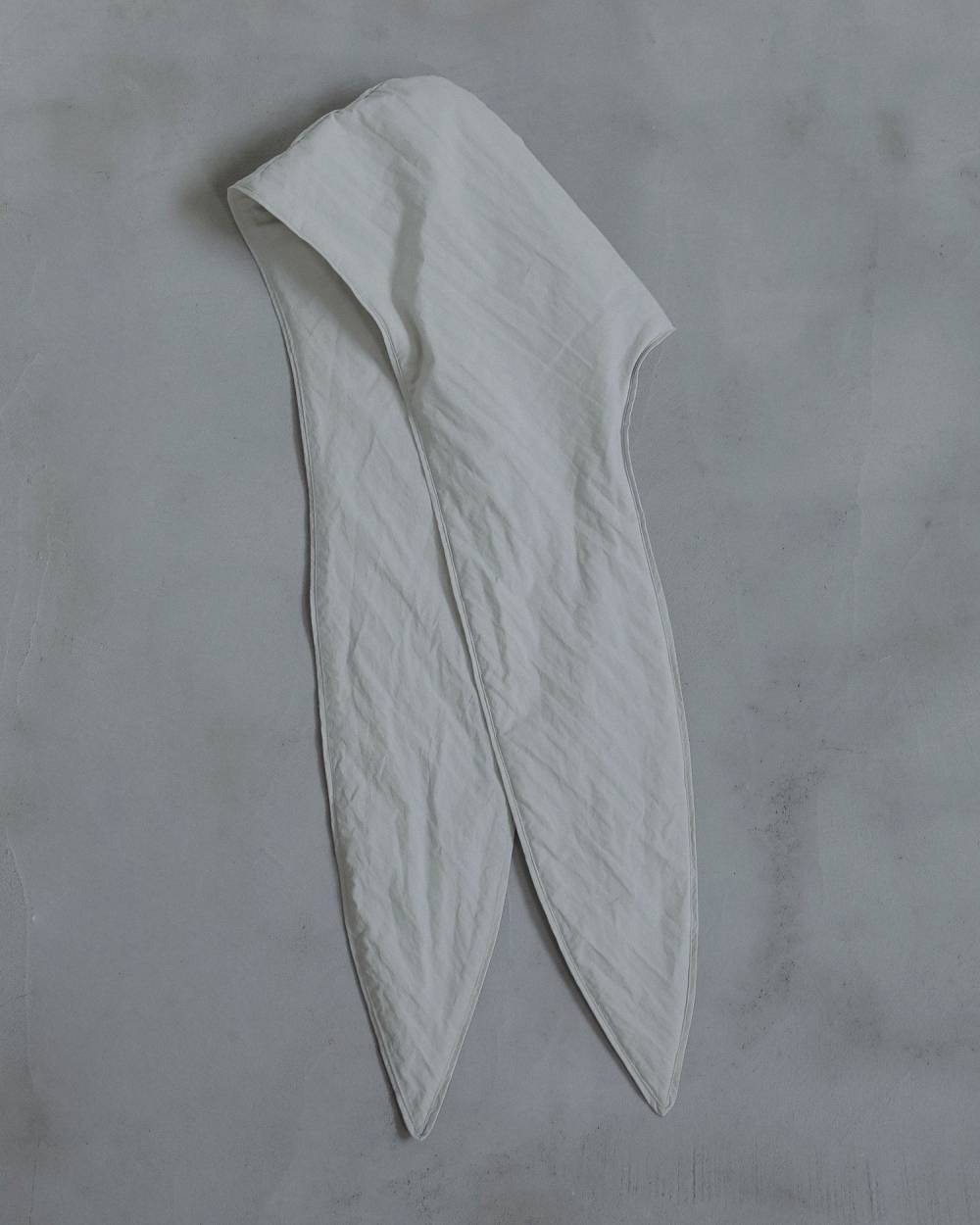 【anuke 2026 winter】Padded Hoodie Shirts - Champdelarose