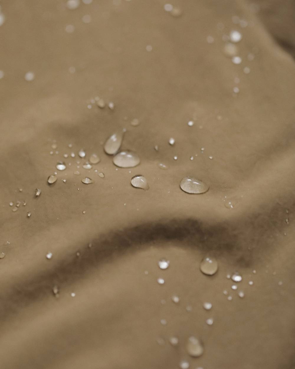 【anuke 2026 winter】Padded Soutiencollar Coat - Champdelarose
