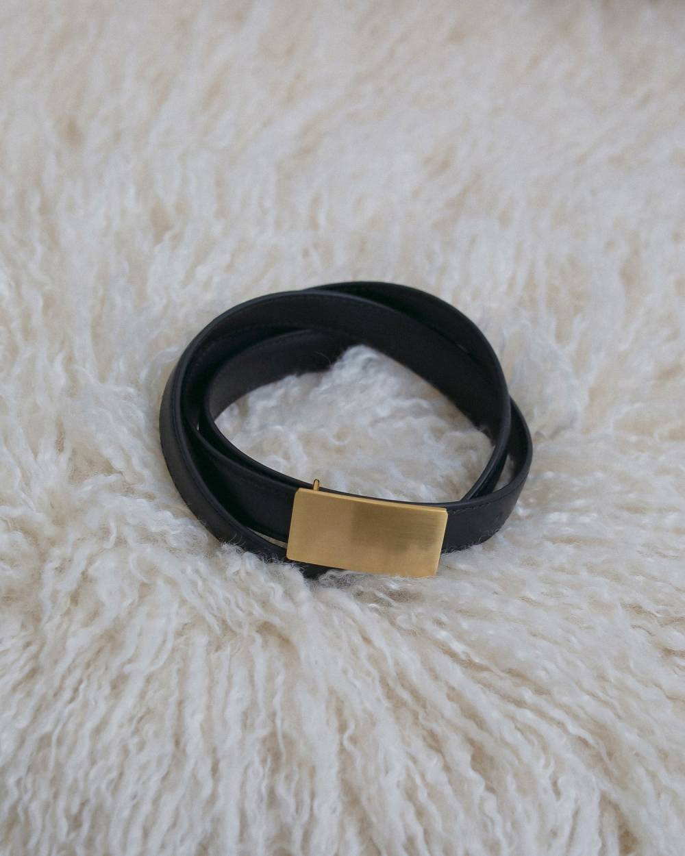 【anuke 2026 winter】Reversible Thin Belt - Champdelarose