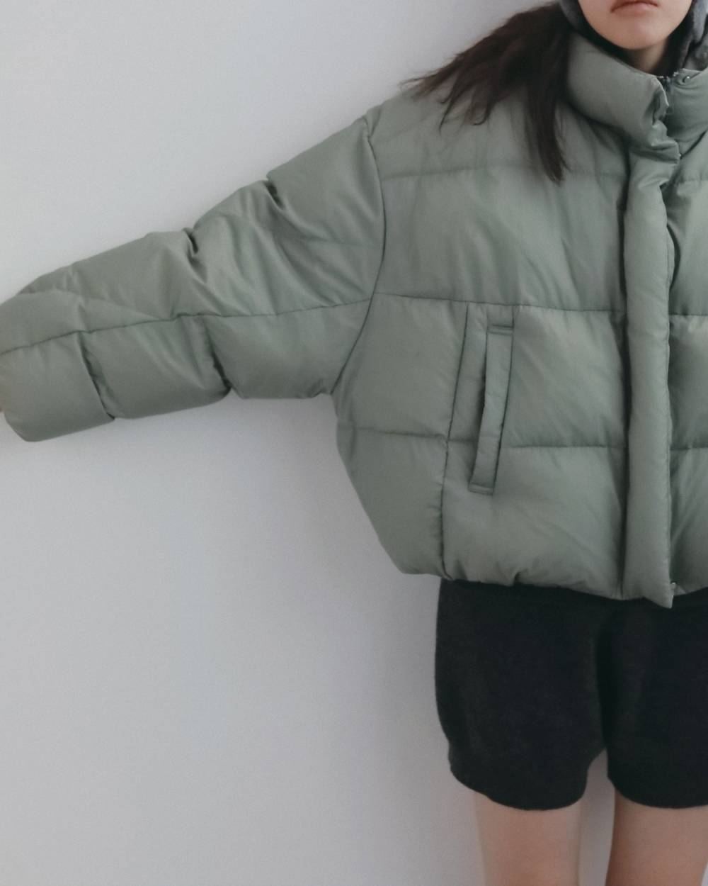 【anuke 2026 winter】Standcollar Down Jacket - Champdelarose