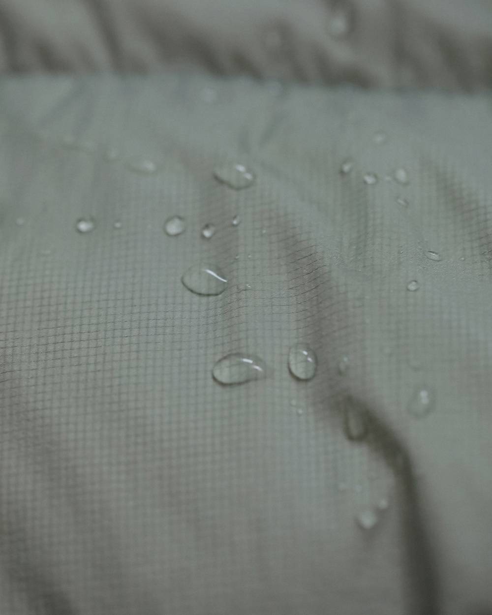 【anuke 2026 winter】Standcollar Down Jacket - Champdelarose