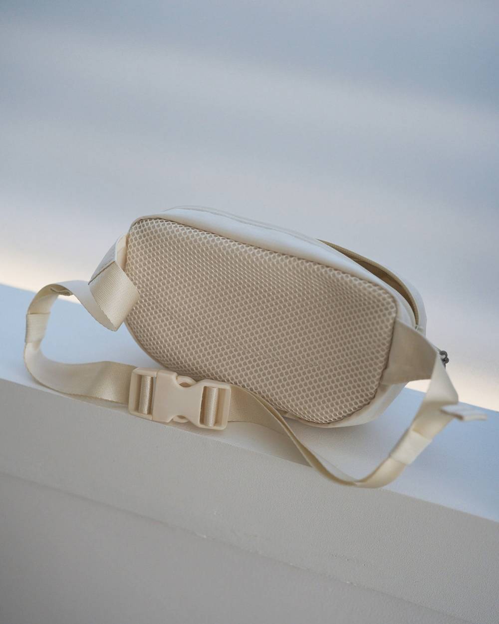 【anuke 26 SPRING / SUMMER】Mini Waist Bag - Champdelarose