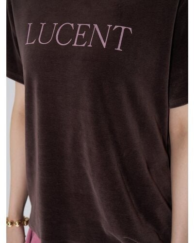 【CHIGNON 2026 AUTUMN】"LUCENT"プリントベロアTEE - Champdelarose