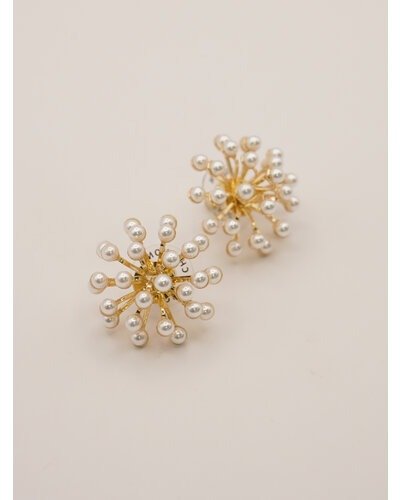 【CHIGNON 2026 PRE - SPRING】スターダストシャワーピアス - Champdelarose
