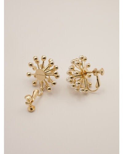 【CHIGNON 2026 PRE - SPRING】スターダストシャワーイヤリング - Champdelarose