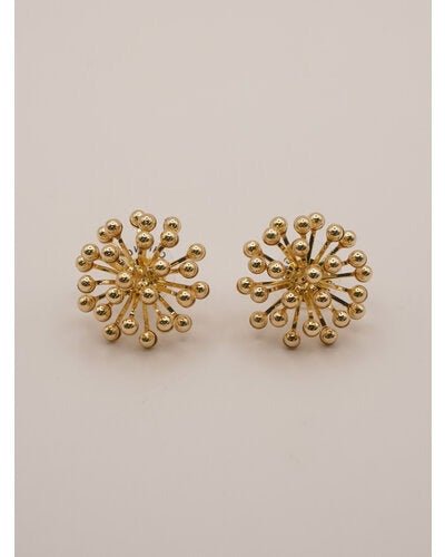 【CHIGNON 2026 PRE - SPRING】スターダストシャワーピアス - Champdelarose