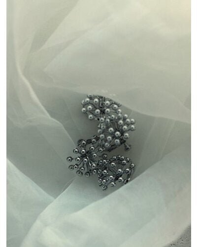 【CHIGNON 2026 PRE - SPRING】スターダストシャワーイヤリング - Champdelarose