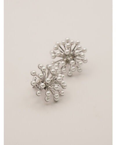 【CHIGNON 2026 PRE - SPRING】スターダストシャワーピアス - Champdelarose