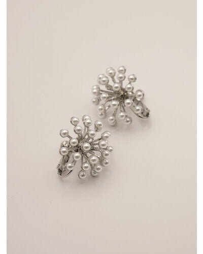 【CHIGNON 2026 PRE - SPRING】スターダストシャワーイヤリング - Champdelarose