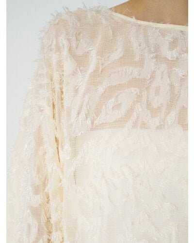 【CHIGNON 2026 SPRING】メッシュジャガードBL - Champdelarose