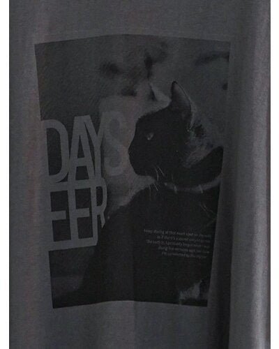 【CHIGNON 2026 SPRING】アニマルフォト"CAT"Tee - Champdelarose