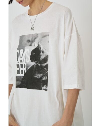【CHIGNON 2026 SPRING】アニマルフォト"CAT"Tee - Champdelarose