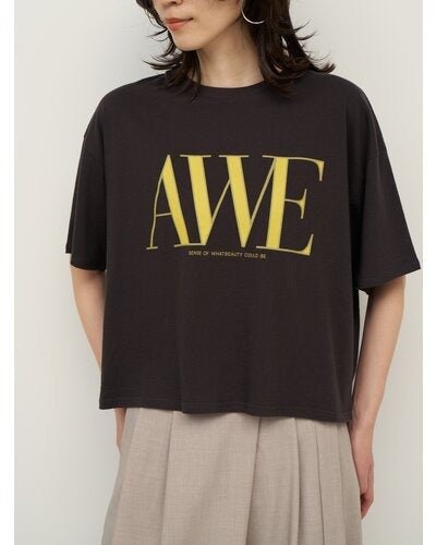 【CHIGNON 2026 SS COLLECTION】"AWE"プリントクロップドTee - Champdelarose