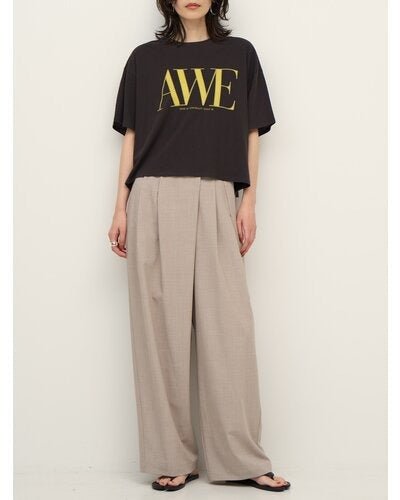 【CHIGNON 2026 SS COLLECTION】"AWE"プリントクロップドTee - Champdelarose