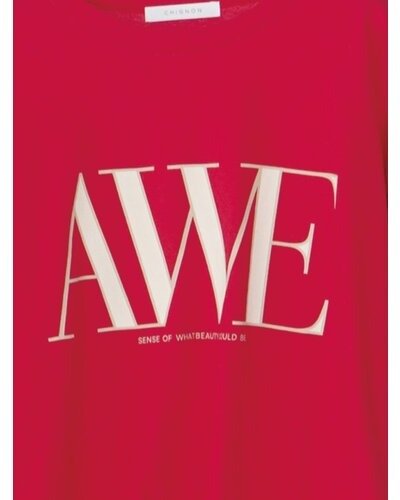 【CHIGNON 2026 SS COLLECTION】"AWE"プリントクロップドTee - Champdelarose