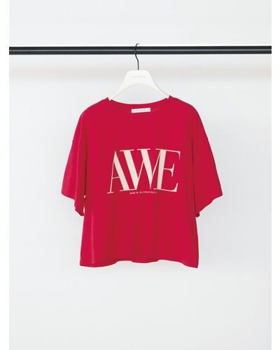 【CHIGNON 2026 SS COLLECTION】"AWE"プリントクロップドTee - Champdelarose