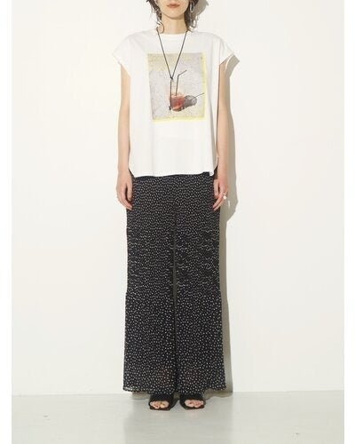 【CHIGNON 2026 SS COLLECTION】PHOTOプリントフレンチ - Champdelarose