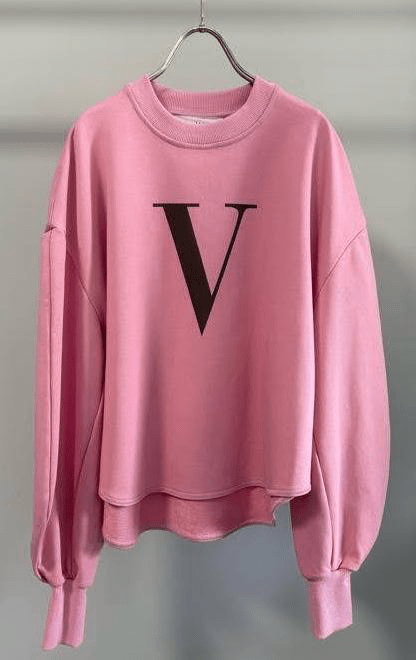 【GOOD VIEW DESIGN 2026 SPRING】Vロゴ裏毛プルオーバー - Champdelarose