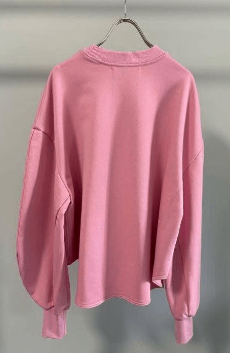 【GOOD VIEW DESIGN 2026 SPRING】Vロゴ裏毛プルオーバー - Champdelarose