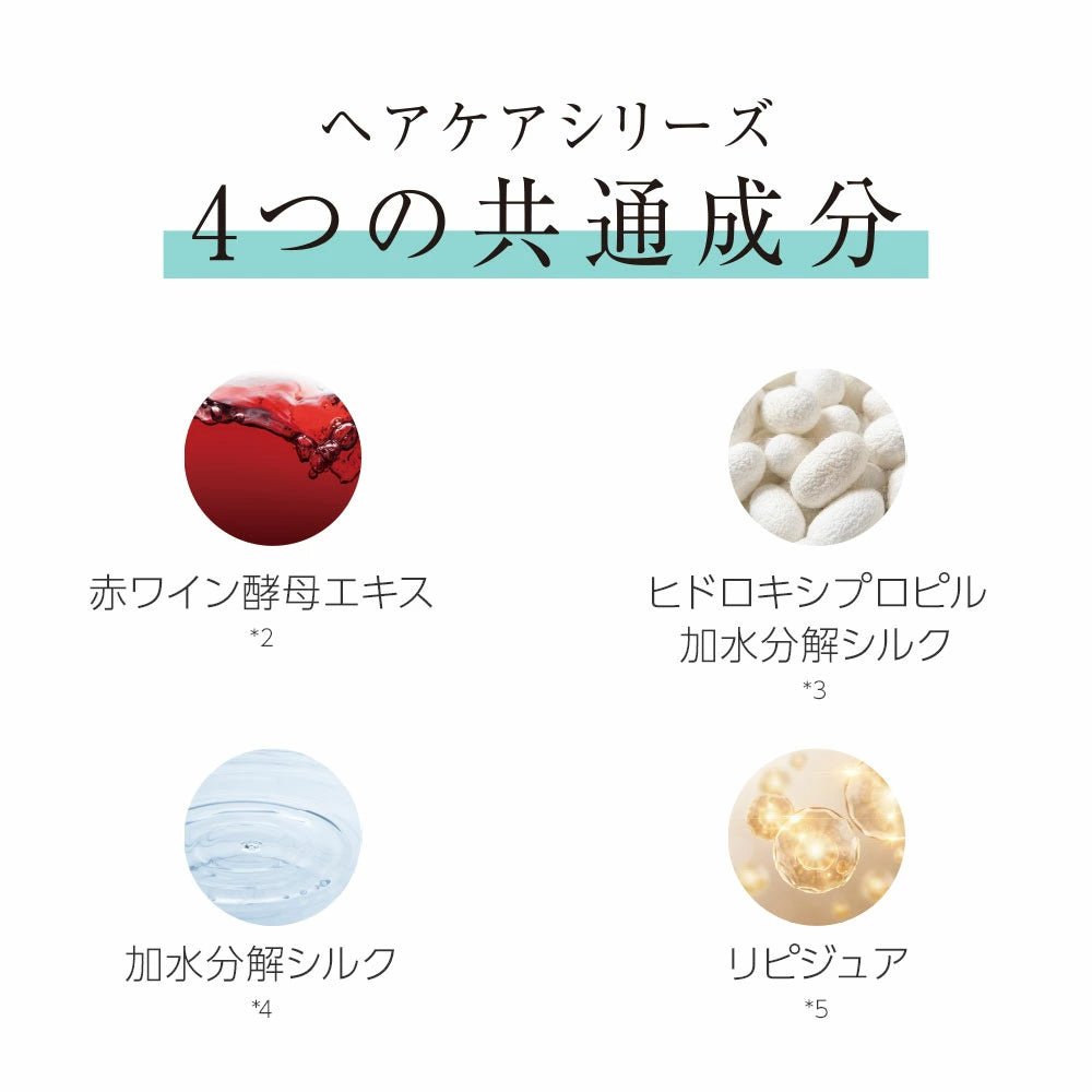 【HIGH LINE】ヘアーシャンプー（詰替用）内容量 : 1,000ml - Champdelarose