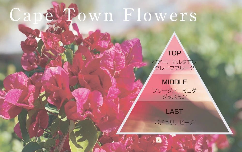 【HIGH LINE】ヘアーシャンプー（詰替用）内容量 : 1,000ml - Champdelarose