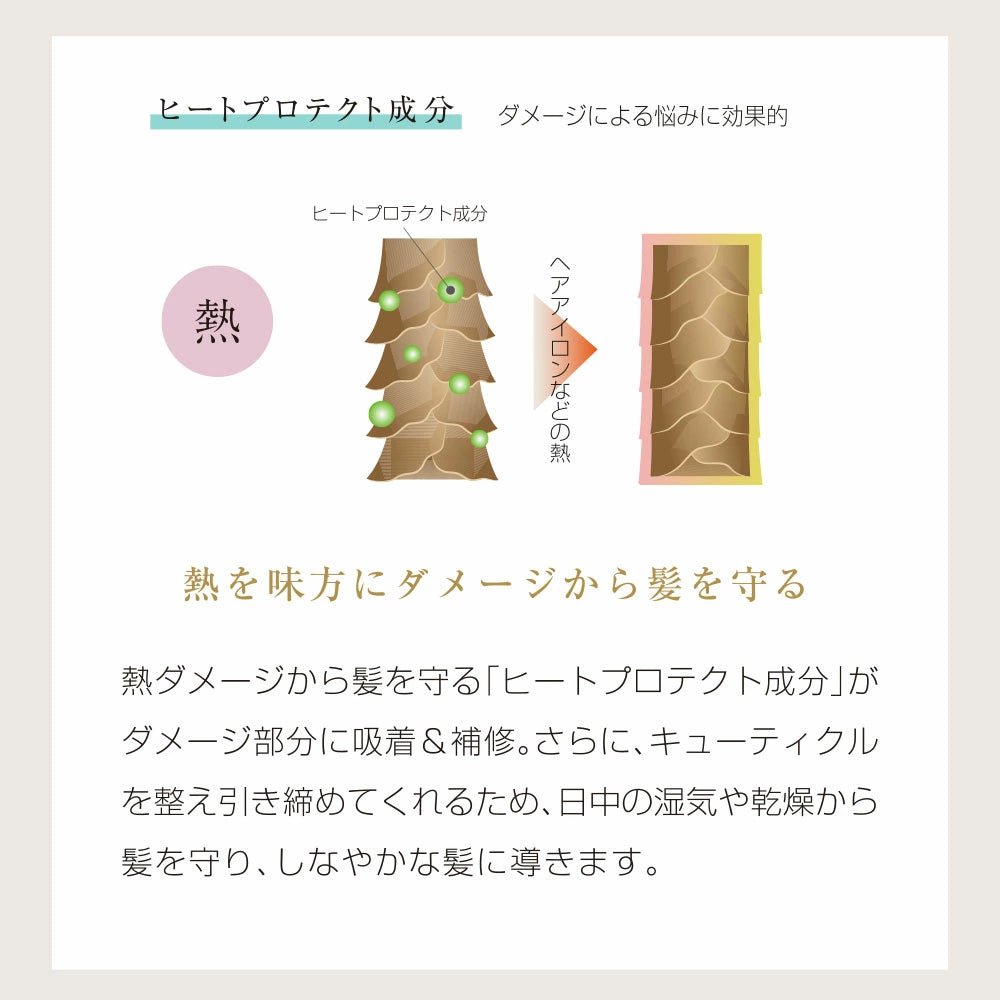 【HIGH LINE】ヘアーシャンプー（詰替用）内容量 : 1,000ml - Champdelarose