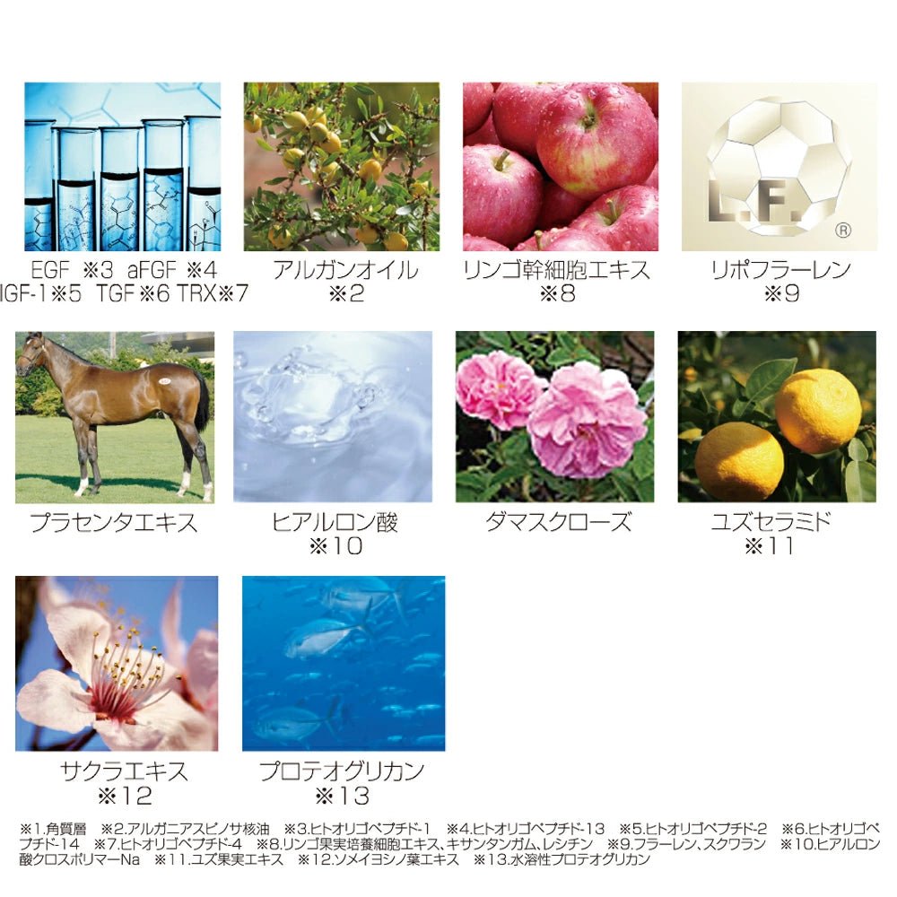 【HIGH LINE】ハイライン No.3 - 50g - (保湿クリーム) - Champdelarose