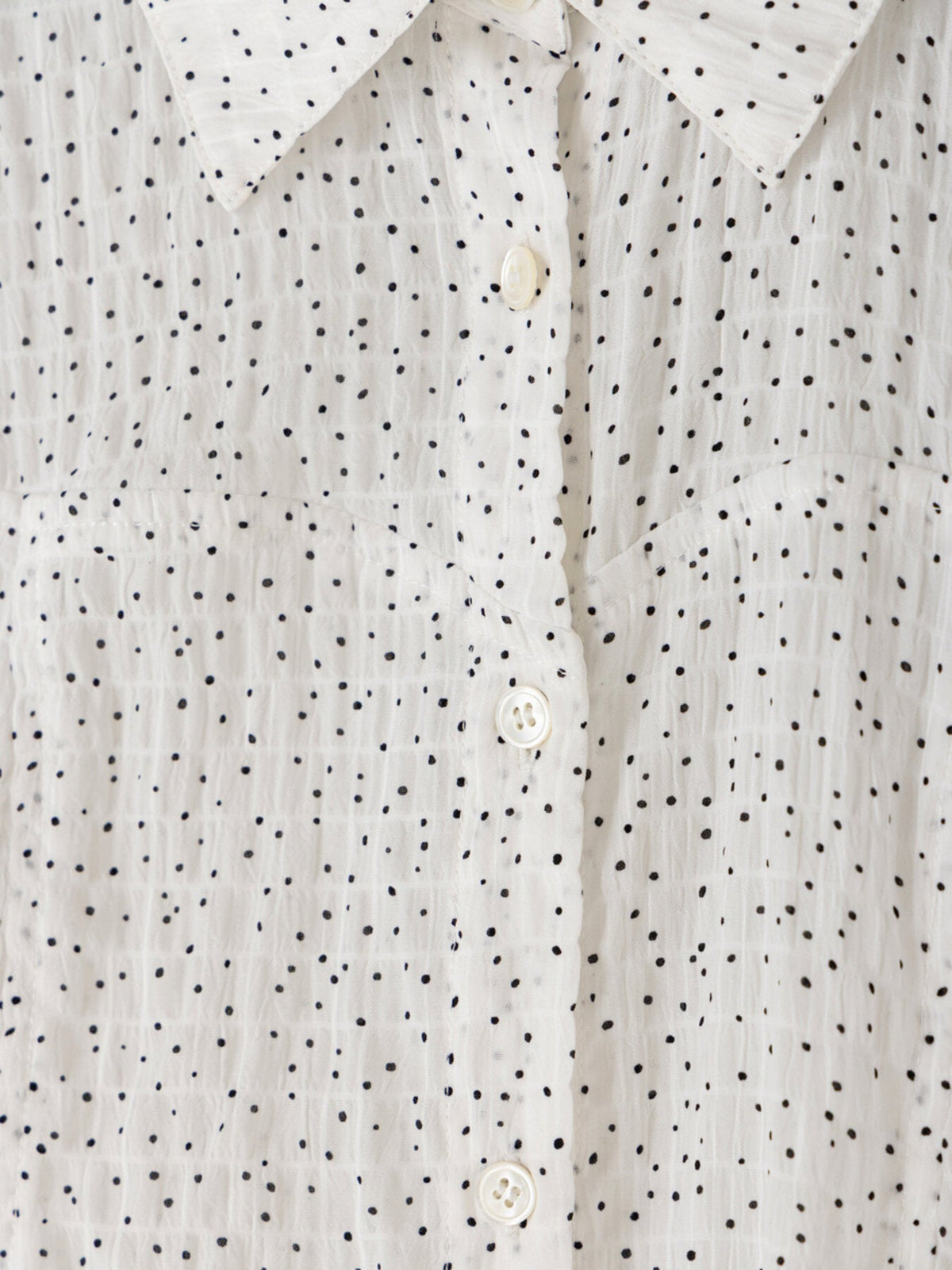 【Mewl 2027 PRE SPRING】DOT SHEER SHIRT - 1月中旬頃発送 - Champdelarose