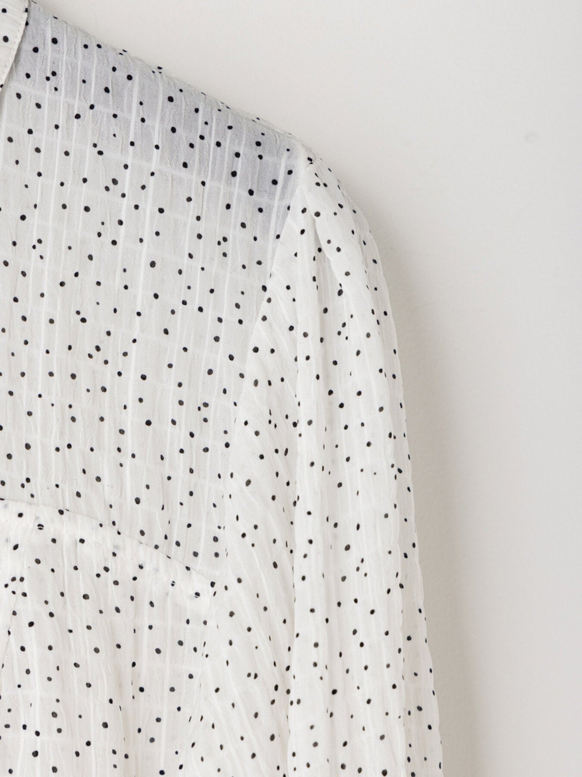 【Mewl 2027 PRE SPRING】DOT SHEER SHIRT - 1月中旬頃発送 - Champdelarose