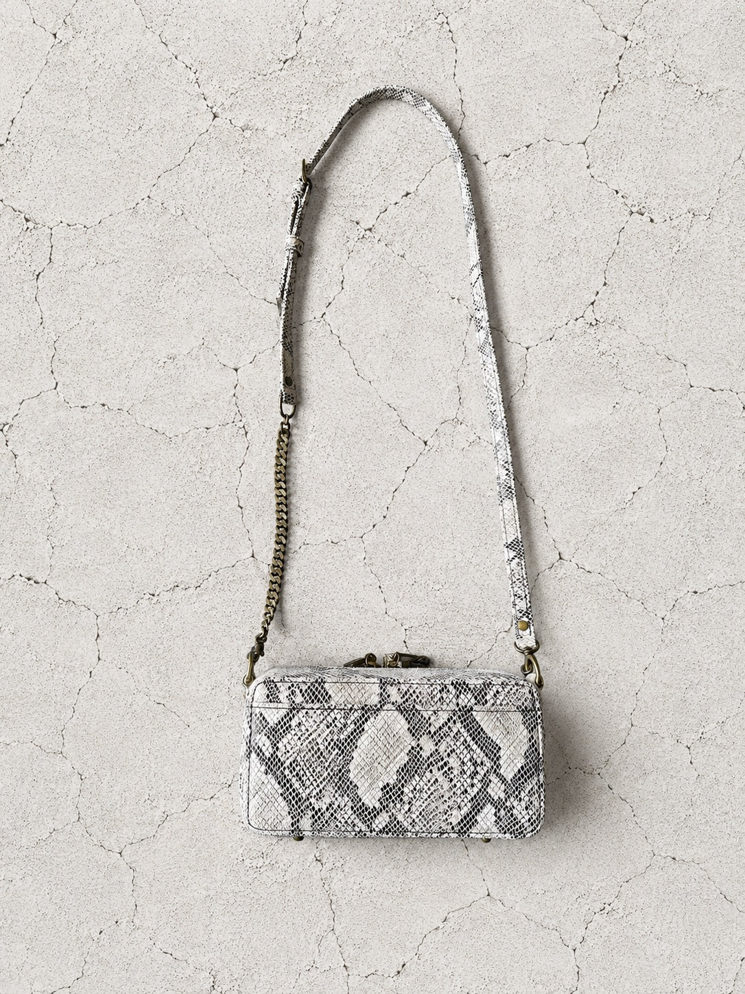 【M.U.L 2026-9】BOX WALLET SHOULDER - 転写Python - Champdelarose