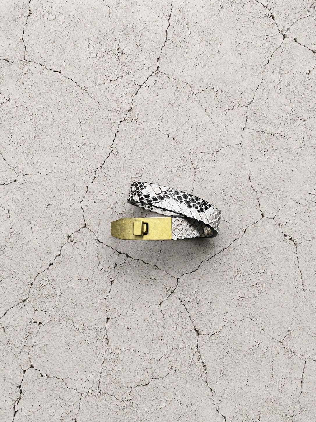 【M.U.L 2026-9】BRACELET - 転写Python - Champdelarose