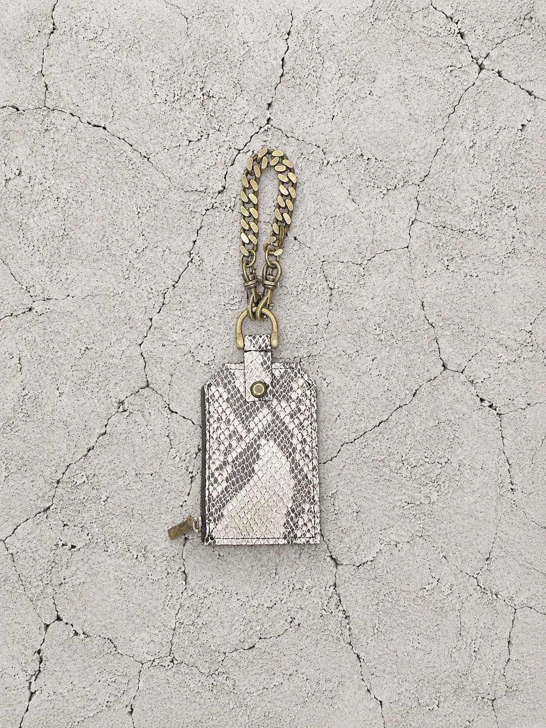 【M.U.L 2026-9】CHAIN PASS CASE - 転写Python - Champdelarose