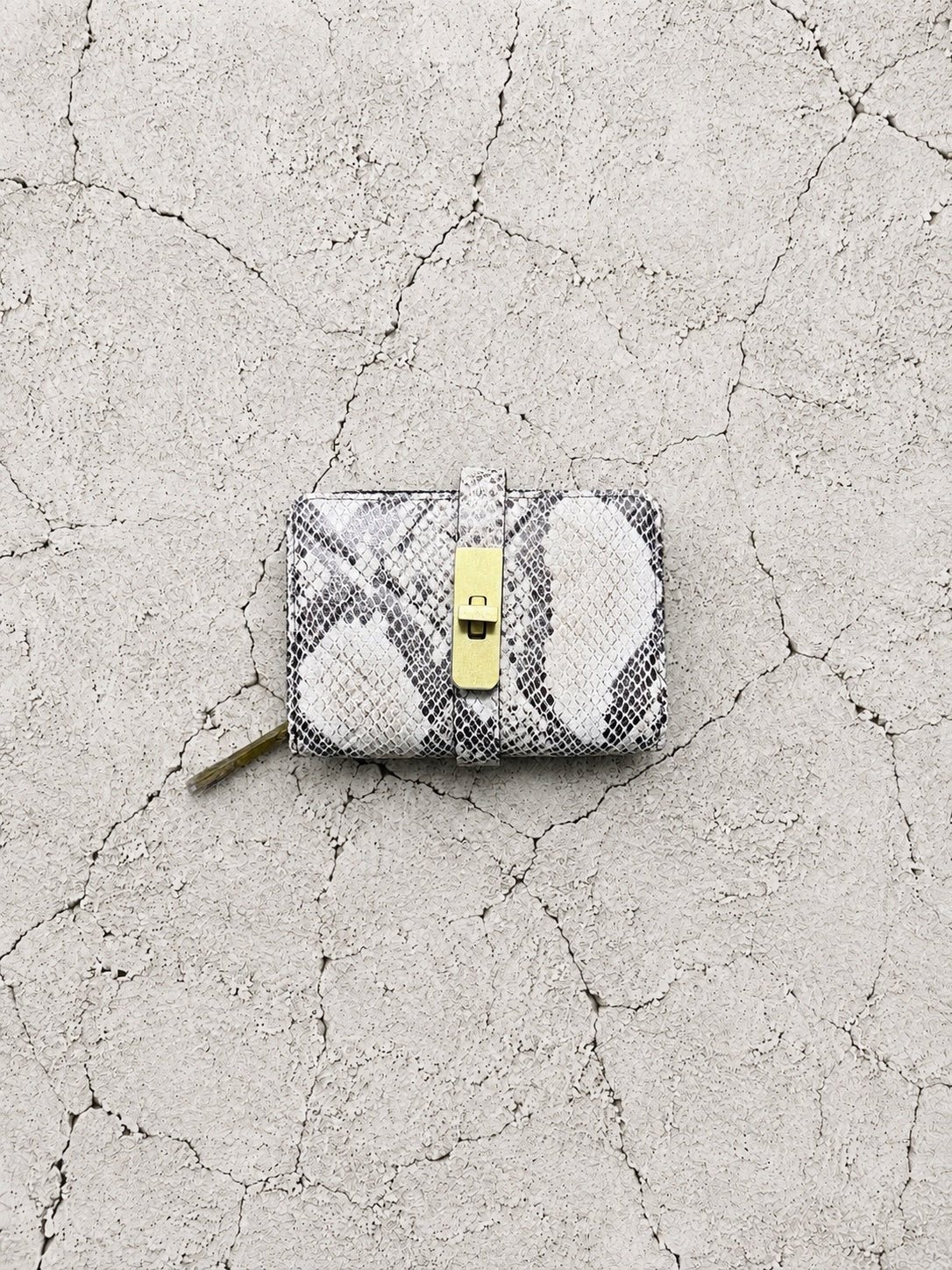 【M.U.L 2026-9】HALF ROUND WALLET - 転写Python - Champdelarose