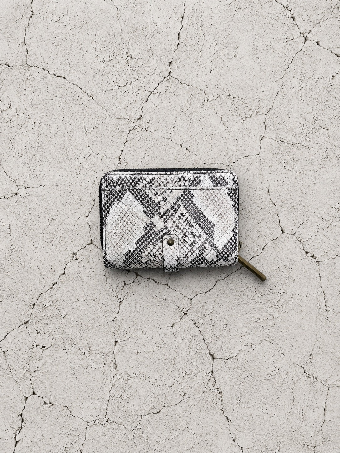 【M.U.L 2026-9】HALF ROUND WALLET - 転写Python - Champdelarose