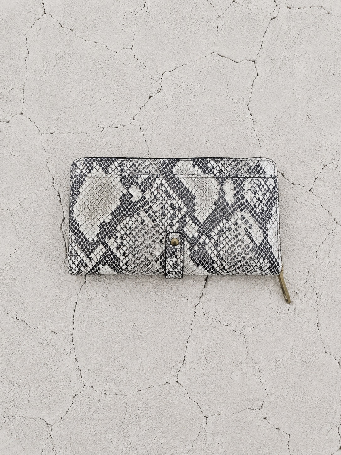 【M.U.L 2026-9】ROUND LONG WALLET - 転写Python - Champdelarose