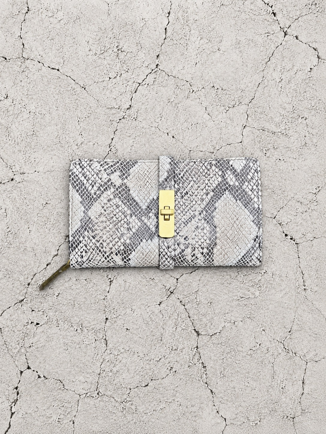 【M.U.L 2026-9】ROUND LONG WALLET - 転写Python - Champdelarose