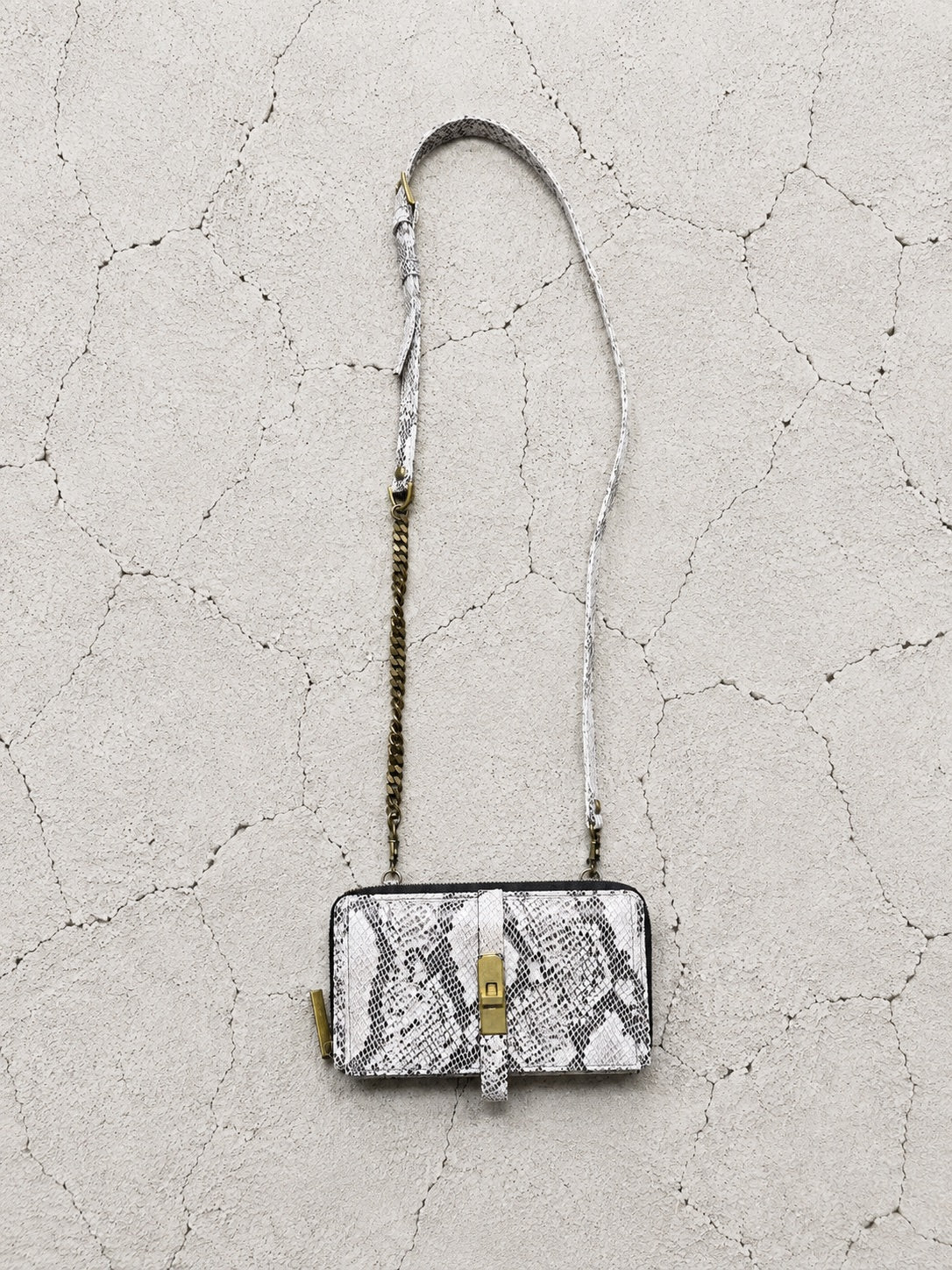 【M.U.L 2026-9】WALLET SHOULDER - 転写Python - Champdelarose